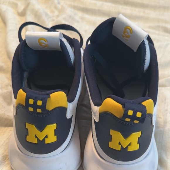 Michigan Jordan Team Issued Shoes 11.5 - Picture 3 of 3